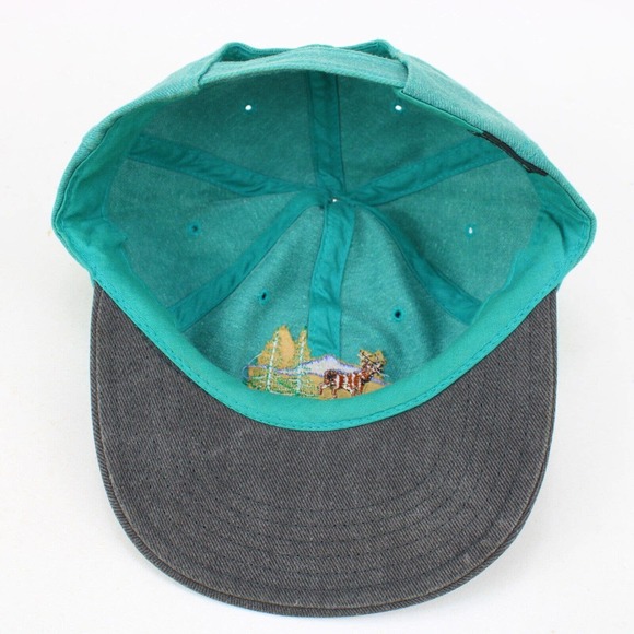 Vintage Adirondacks Hat Strapback Lake George NY Mountains Deer Sansegal Rare - Picture 9 of 13